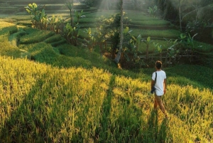 UBUD: Customized Tour With Private Driver & Guide