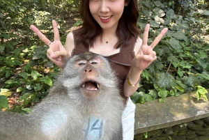 UBUD: Customized Tour With Private Driver & Guide