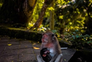 UBUD: Customized Tour With Private Driver & Guide