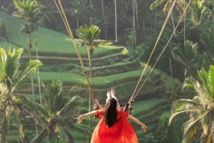 UBUD: Customized Tour With Private Driver & Guide