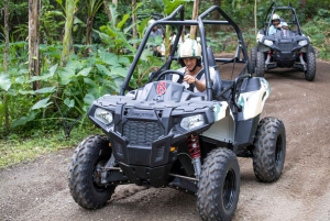Ubud: Cycling, Jungle Buggies, and White Water Rafting