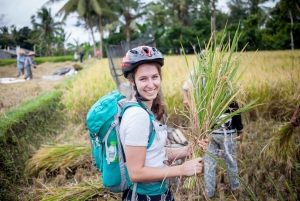 Passeio de bicicleta em Ubud : Aventura de ciclismo com tudo incluído