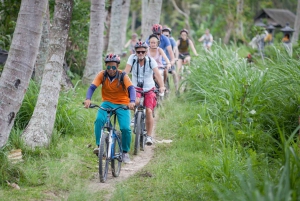 Ubud Fietstocht : All-inclusive fietsavontuur
