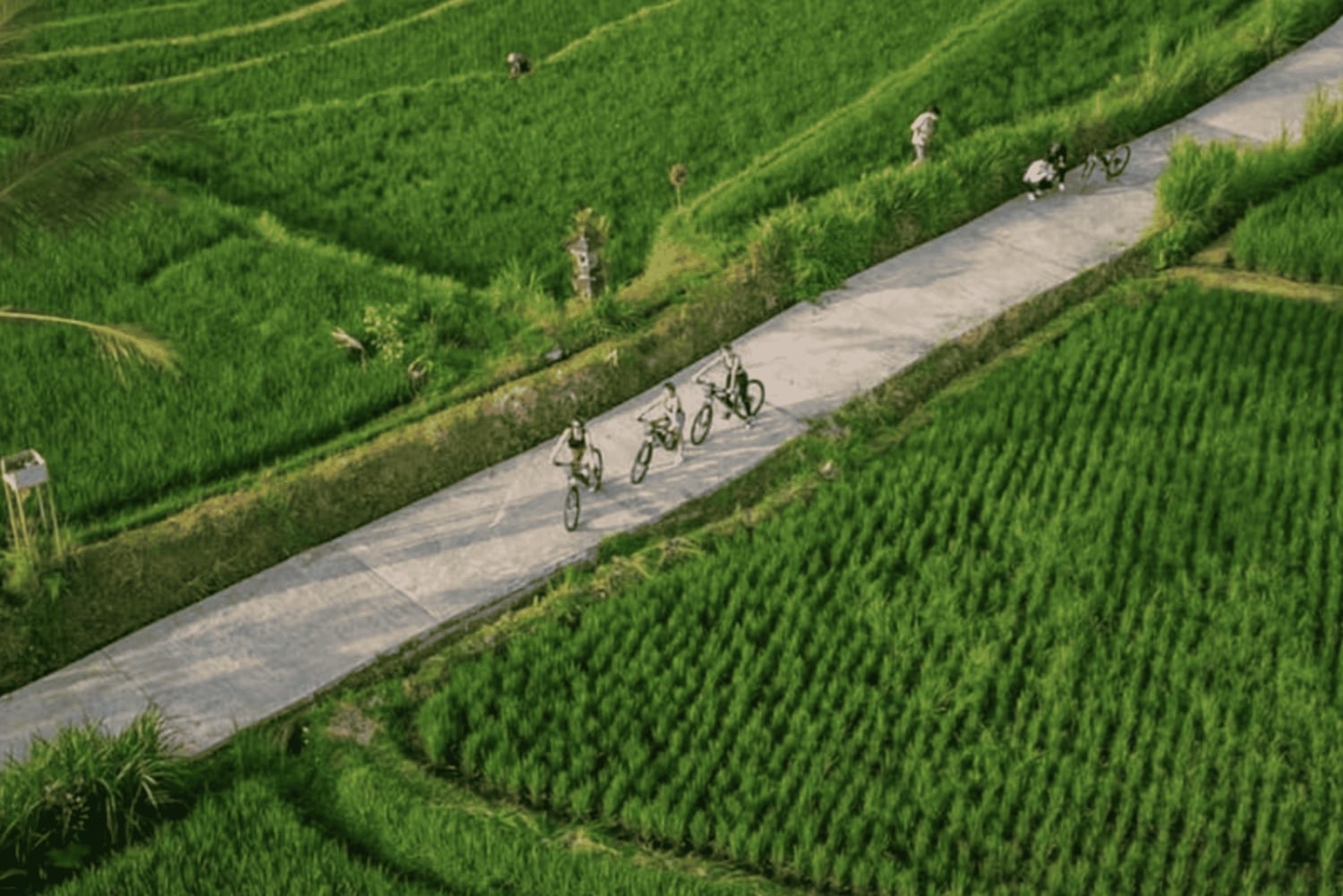 Ubud: Cycling Tour Local Villages, Temple, and Rice Field