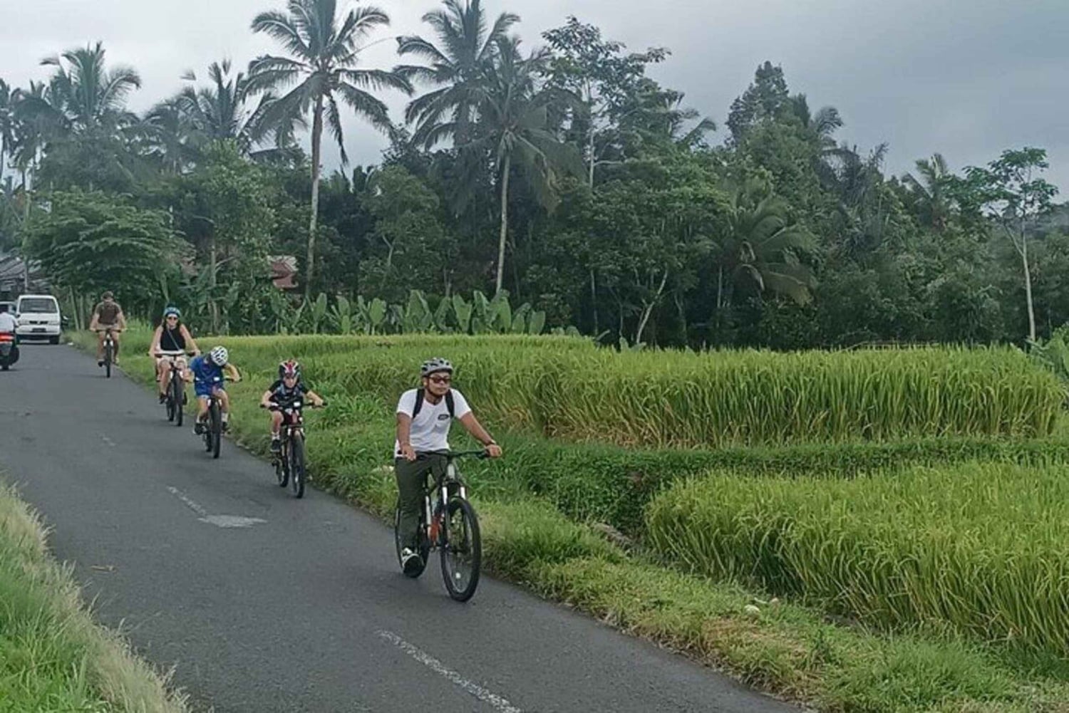 Ubud: Cycling Tour Local Villages, Temple, and Rice Field