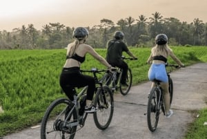 Ubud: Cycling Tour Local Villages, Temple, and Rice Field