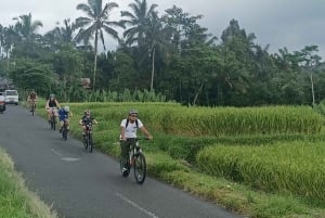 Ubud: Cycling Tour Local Villages, Temple, and Rice Field
