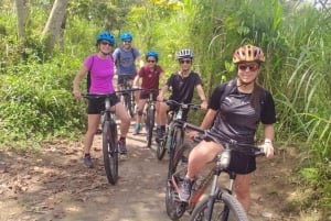 Ubud: Cycling Tour Local Villages, Temple, and Rice Field