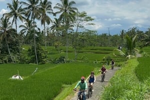 Ubud: Cycling Tour Local Villages, Temple, and Rice Field