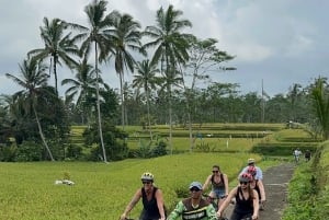 Ubud: Cycling Tour Local Villages, Temple, and Rice Field