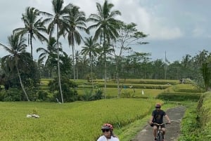 Ubud: Cycling Tour Local Villages, Temple, and Rice Field