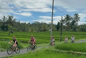 Ubud: Cycling Tour Local Villages, Temple, and Rice Field