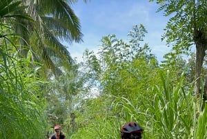 Ubud: Cycling Tour Local Villages, Temple, and Rice Field