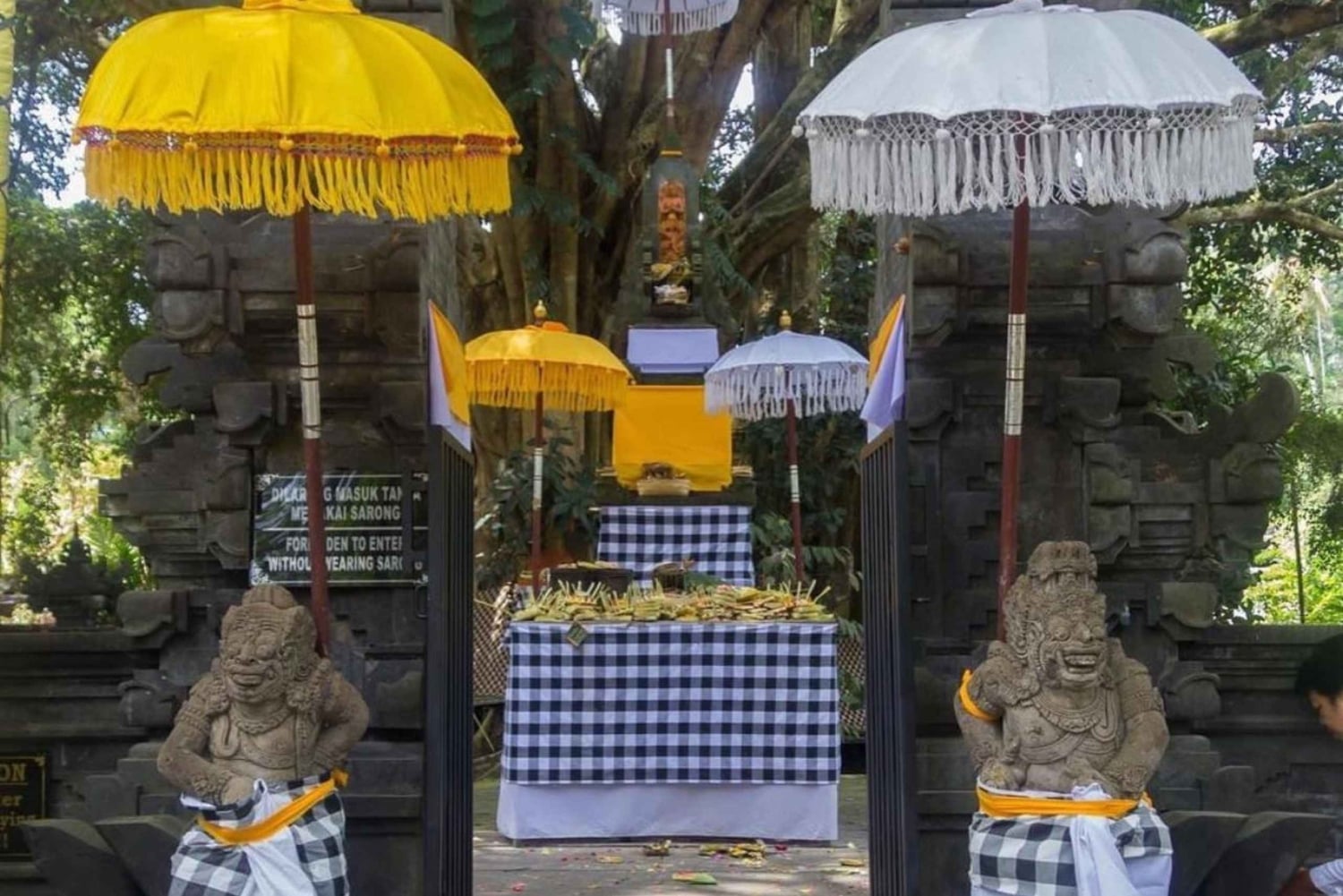 Ubud Day Tour – Japanese Guide Included