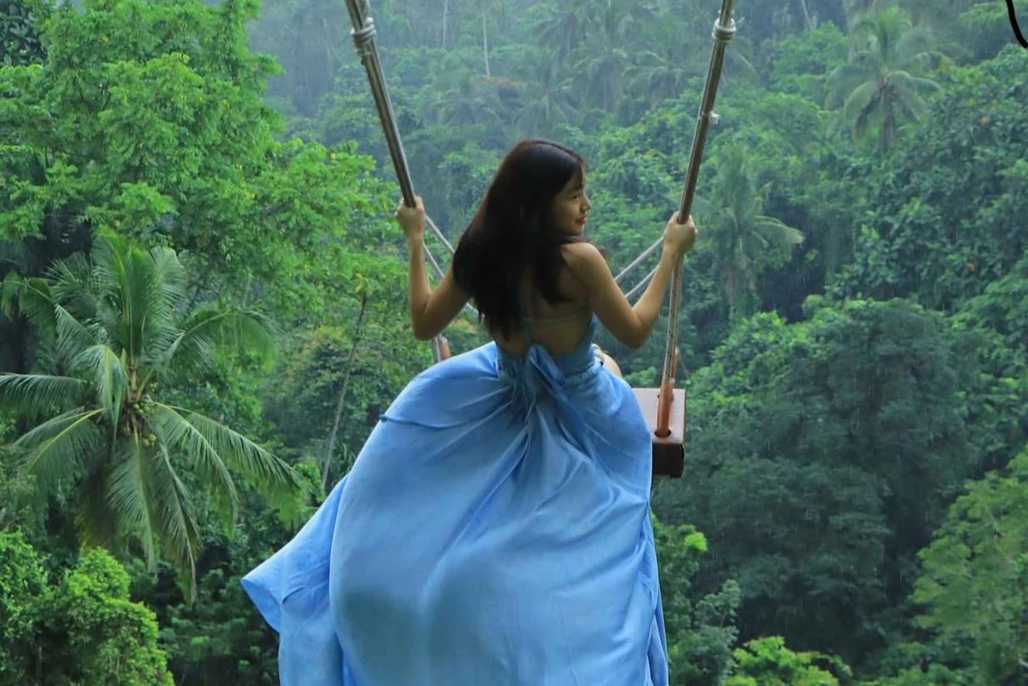 Ubud Day Tour – Japanese Guide Included