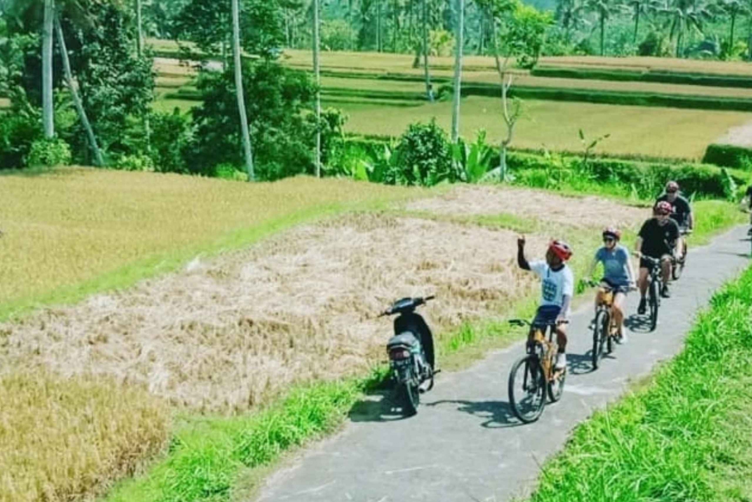 Ubud: Downhill Countryside Cycling From Kintamani