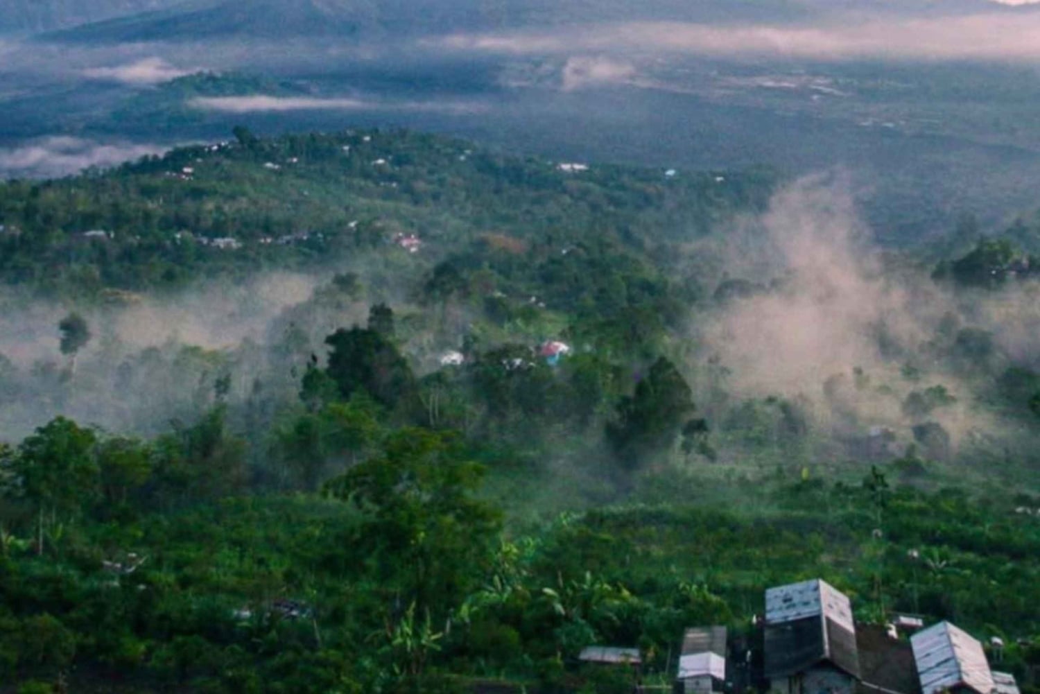 ウブド：火山を下りるサイクリングと棚田訪問をお楽しします