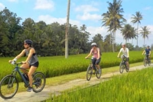 ウブド：火山を下りるサイクリングと棚田訪問をお楽しします