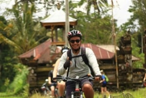 ウブド：火山を下りるサイクリングと棚田訪問をお楽しします