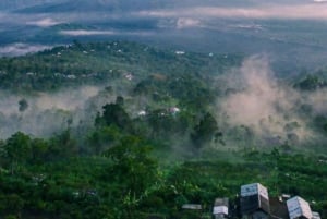 ウブド：火山を下りるサイクリングと棚田訪問をお楽しします