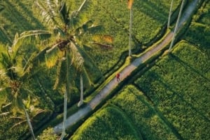 ウブド：火山を下りるサイクリングと棚田訪問をお楽しします