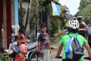 ウブド：火山を下りるサイクリングと棚田訪問をお楽しします