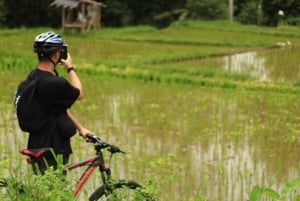 ウブド：火山を下りるサイクリングと棚田訪問をお楽しします
