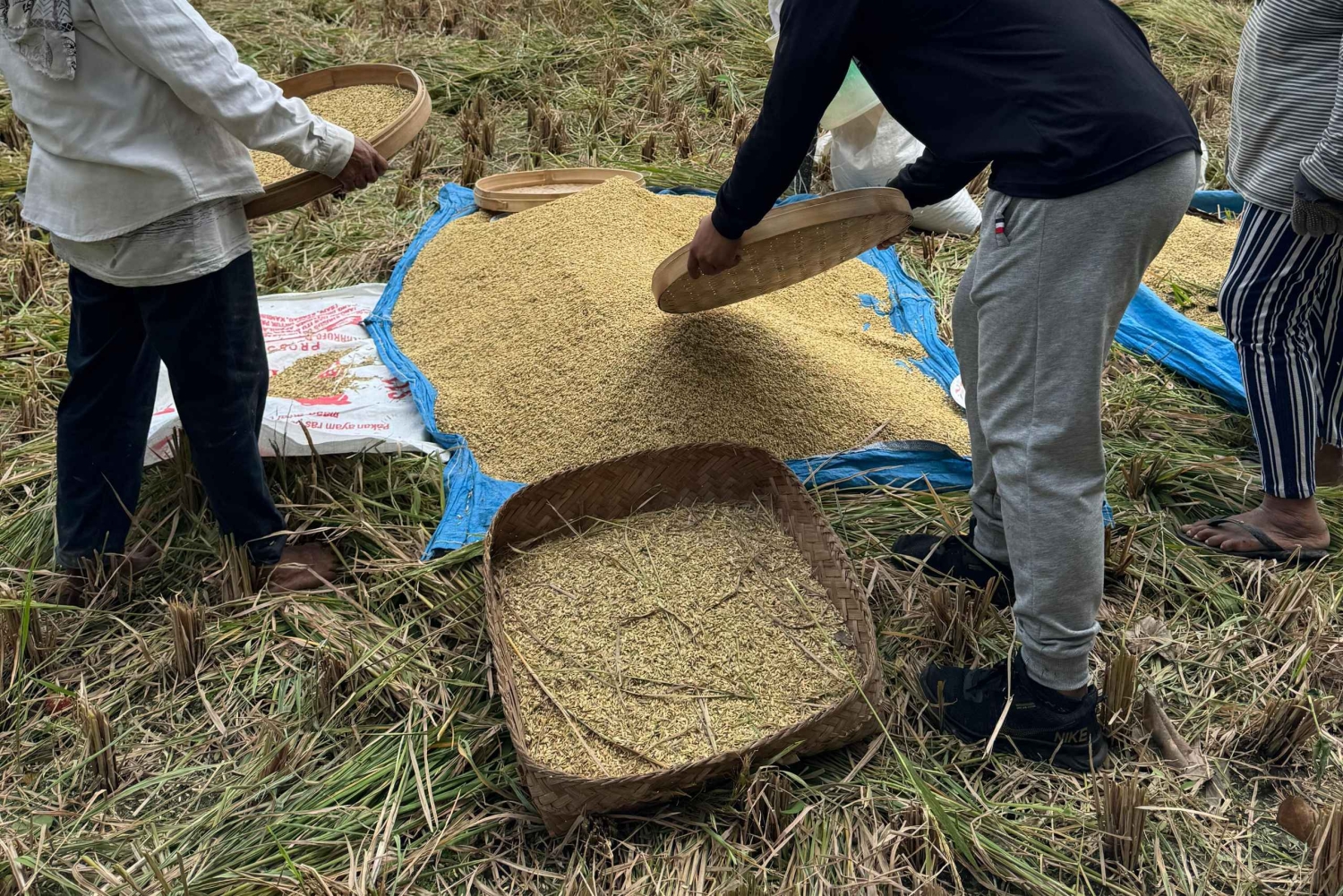 Ubud: Downhill Cycling with Volcano, Rice Terraces, and Meal