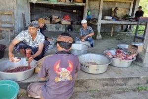 Ubud : Cyclisme en descente avec volcan, rizières en terrasses et repas