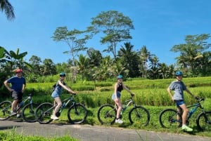 Ubud: Downhill fietsen met vulkaan, rijstterrassen en maaltijd