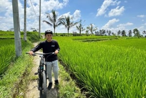 Ubud: Descenso en bici con volcán, terrazas de arroz y comida