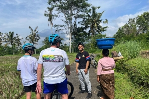 Ubud: Downhill Cycling with Volcano, Rice Terraces, and Meal