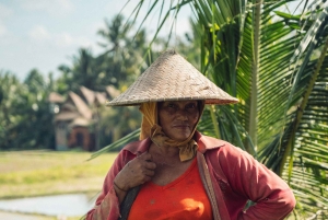 Ubud: Downhill Cycling with Volcano, Rice Terraces, and Meal