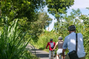 Ubud: Downhill Cycling with Volcano, Rice Terraces, and Meal