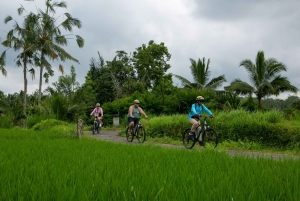 Ubud: Downhill Cycling with Volcano, Rice Terraces, and Meal