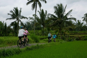 Ubud: Downhill Cycling with Volcano, Rice Terraces, and Meal