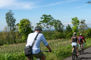 Ubud: Downhill Cycling with Volcano, Rice Terraces, and Meal