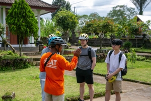 Ubud: Downhill Cycling with Volcano, Rice Terraces, and Meal