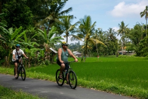 Ubud: Downhill Cycling with Volcano, Rice Terraces, and Meal