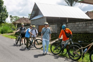 Ubud: Downhill Cycling with Volcano, Rice Terraces, and Meal