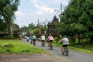 Ubud: Downhill Cycling with Volcano, Rice Terraces, and Meal