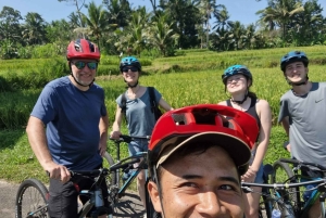 Ubud: Downhill Cycling with Volcano, Rice Terraces, and Meal