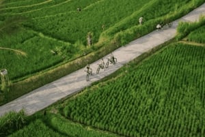 Ubud: Tour in bicicletta dei villaggi locali, del tempio e delle risaie
