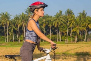 Ubud: Tour in bicicletta dei villaggi locali, del tempio e delle risaie
