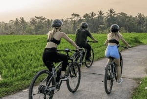 Ubud: Tour in bicicletta dei villaggi locali, del tempio e delle risaie