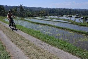 Ubud: Tour in bicicletta dei villaggi locali, del tempio e delle risaie