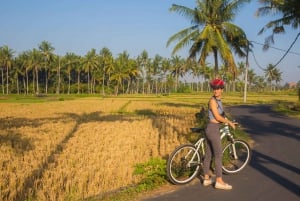 Ubud: Tour in bicicletta dei villaggi locali, del tempio e delle risaie