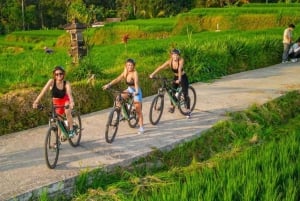 Ubud: Tour in bicicletta dei villaggi locali, del tempio e delle risaie