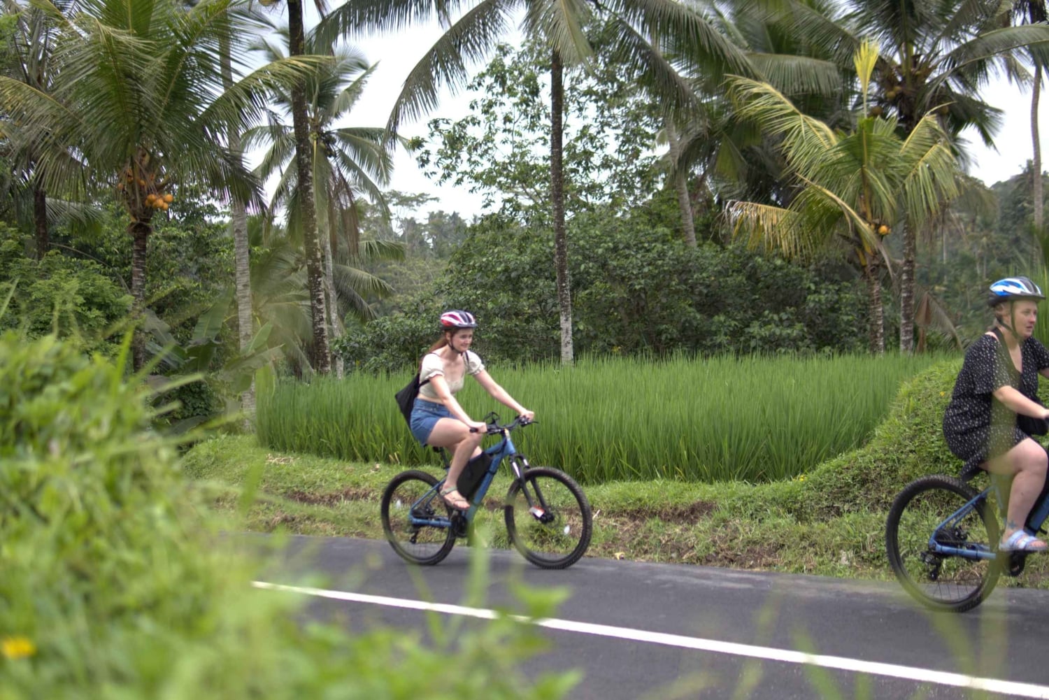 Ubud: E-Bike Tour mit Reisterrasse und Dorfbesuch