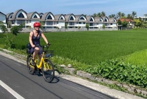 Ubud: E-Bike Tour with Rice Terrace and Village Visit